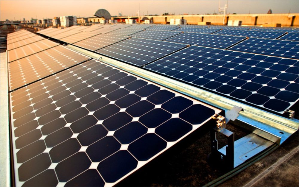 Rows of solar panels catching warm evening light